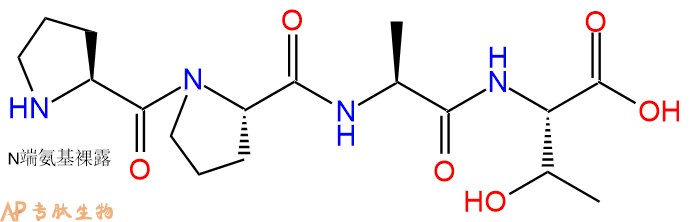 专肽生物产品H2N-Pro-Pro-Ala-Thr-OH