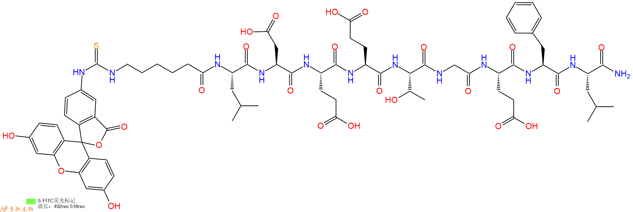 专肽生物产品5FITC-Ahx-Leu-Asp-Glu-Glu-Thr-Gly-Glu-Phe-Leu-NH2