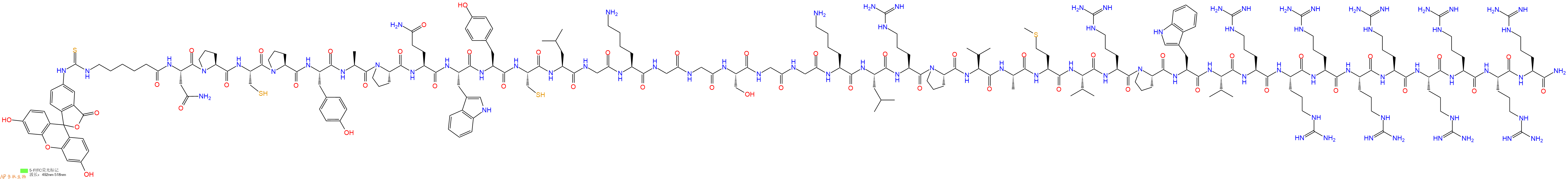 专肽生物产品5FITC-Ahx-Asn-Pro-Cys-Pro-Tyr-Ala-Pro-Gln-Trp-Tyr-Cys-Leu-Gly-Lys-Gly-Gly-Ser-Gly-Gly-Lys-Leu-Arg-Pro-Val-Ala-Met-Val-Arg-Pro-Trp-Val-Arg-Arg-Arg-Arg-Arg-Arg-Arg-Arg-Arg-NH2