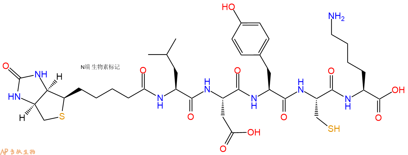 专肽生物产品Biotinyl-Leu-Asp-Tyr-Cys-Lys-OH