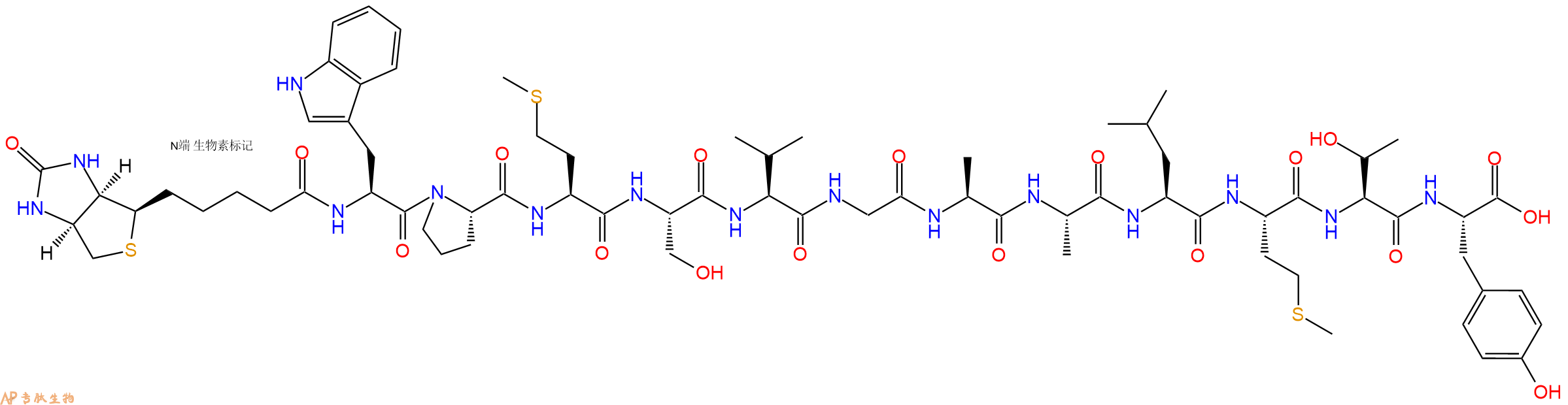 专肽生物产品Biotinyl-Trp-Pro-Met-Ser-Val-Gly-Ala-Ala-Leu-Met-Thr-Tyr-OH