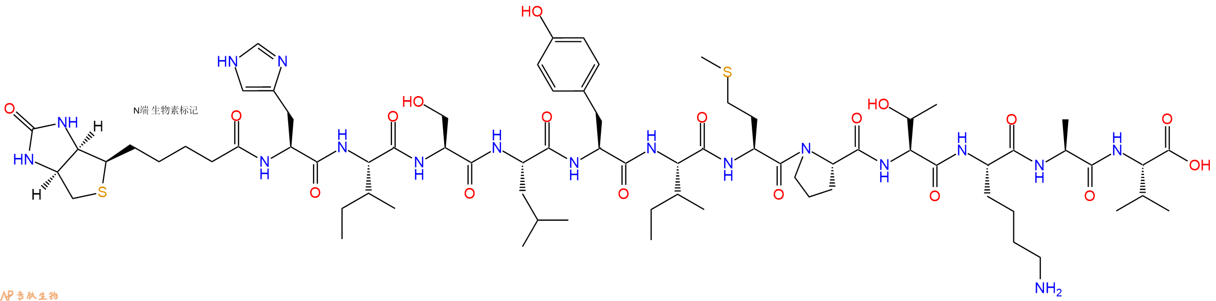 专肽生物产品Biotinyl-His-Ile-Ser-Leu-Tyr-Ile-Met-Pro-Thr-Lys-Ala-Val-OH