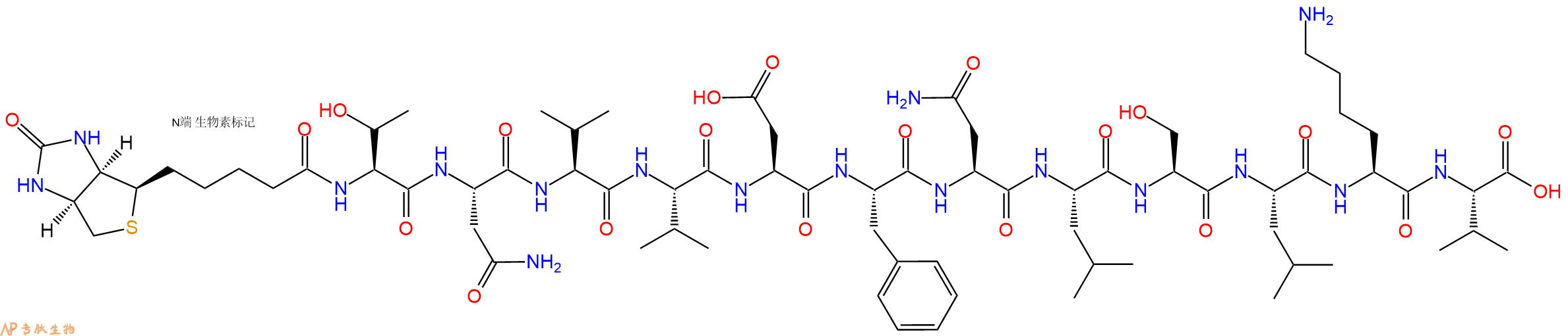 专肽生物产品Biotinyl-Thr-Asn-Val-Val-Asp-Phe-Asn-Leu-Ser-Leu-Lys-Val-OH