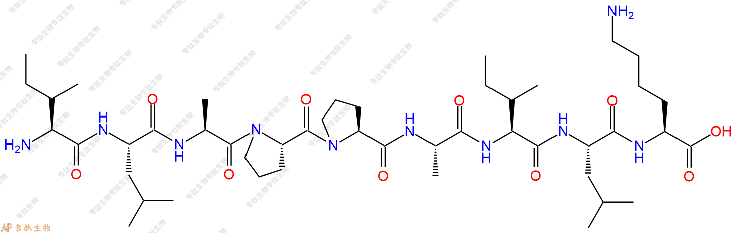 专肽生物产品H2N-Ile-Leu-Ala-Pro-Pro-Ala-Ile-Leu-Lys-OH