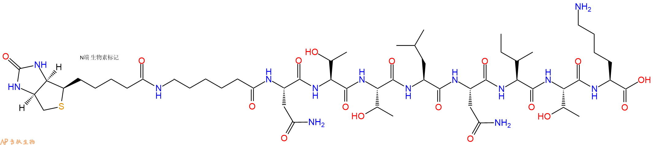 专肽生物产品Biotinyl-Ahx-Asn-Thr-Thr-Leu-Asn-Ile-Thr-Lys-OH