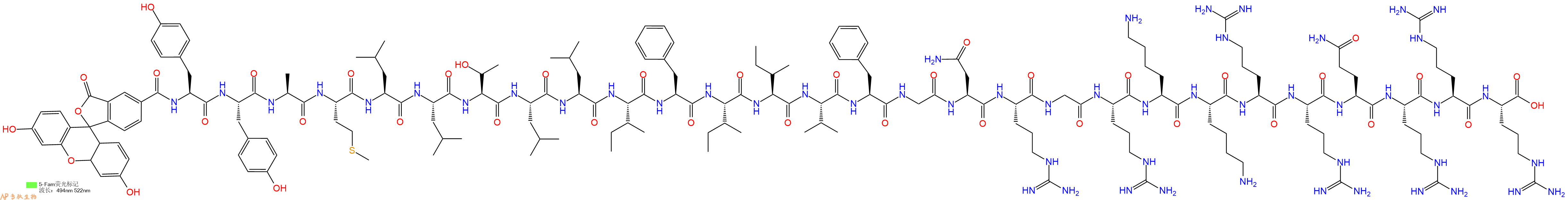 专肽生物产品5FAM-Tyr-Tyr-Ala-Met-Leu-Leu-Thr-Leu-Leu-Ile-Phe-Ile-Ile-Val-Phe-Gly-Asn-Arg-Gly-Arg-Lys-Lys-Arg-Arg-Gln-Arg-Arg-Arg-OH