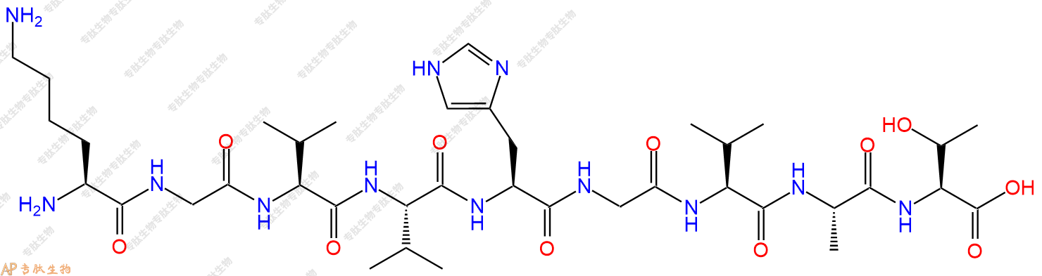 专肽生物产品H2N-Lys-Gly-Val-Val-His-Gly-Val-Ala-Thr-OH