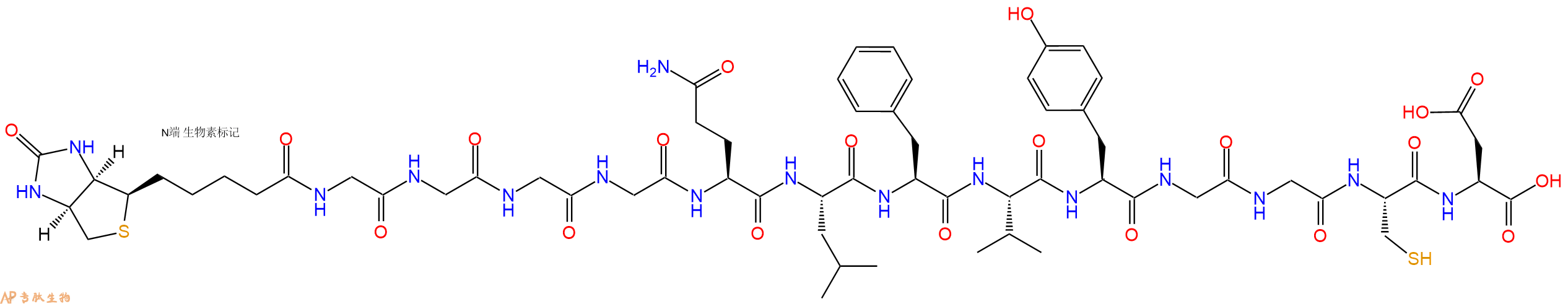 专肽生物产品Biotinyl-Gly-Gly-Gly-Gly-Gln-Leu-Phe-Val-Tyr-Gly-Gly-Cys-Asp-OH