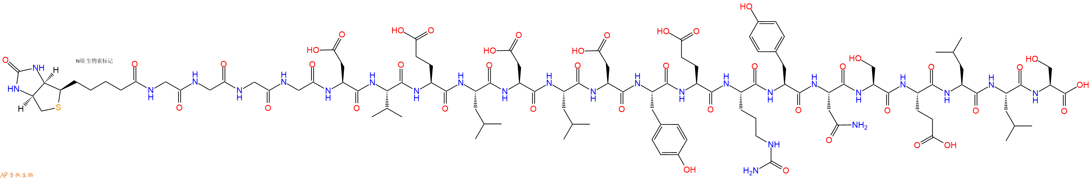 专肽生物产品Biotinyl-Gly-Gly-Gly-Gly-Asp-Val-Glu-Leu-Asp-Leu-Asp-Tyr-Glu-Cit-Tyr-Asn-Ser-Glu-Leu-Leu-Ser-OH