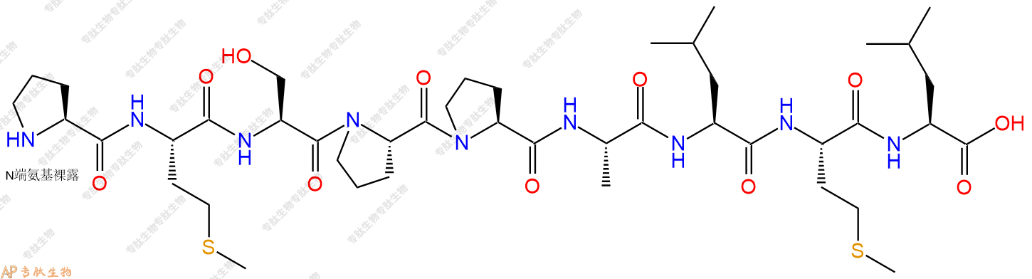 专肽生物产品H2N-Pro-Met-Ser-Pro-Pro-Ala-Leu-Met-Leu-OH