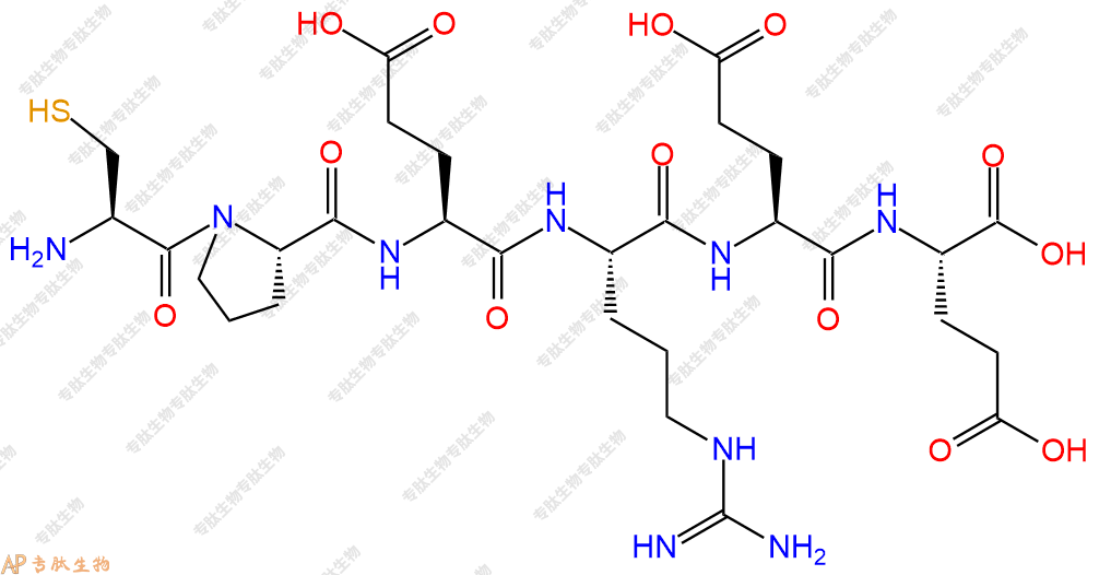 专肽生物产品H2N-Cys-Pro-Glu-Arg-Glu-Glu-OH
