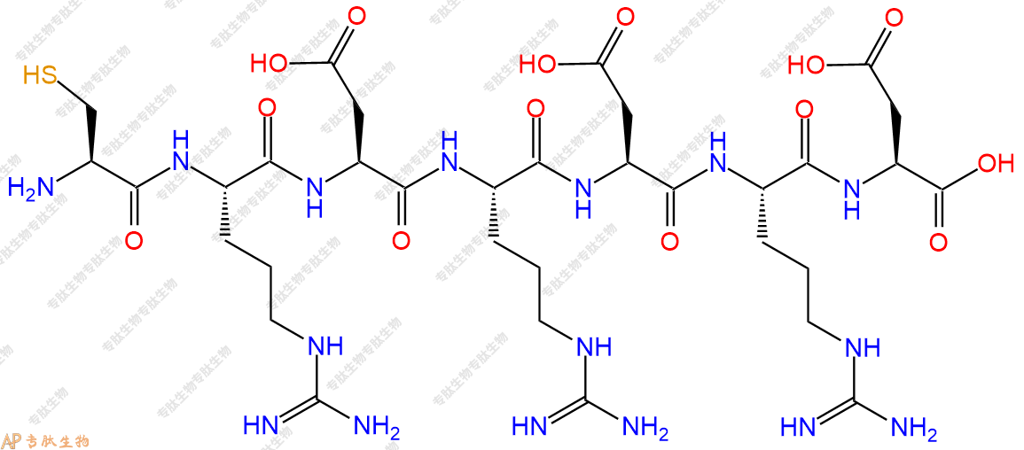 专肽生物产品H2N-Cys-Arg-Asp-Arg-Asp-Arg-Asp-OH