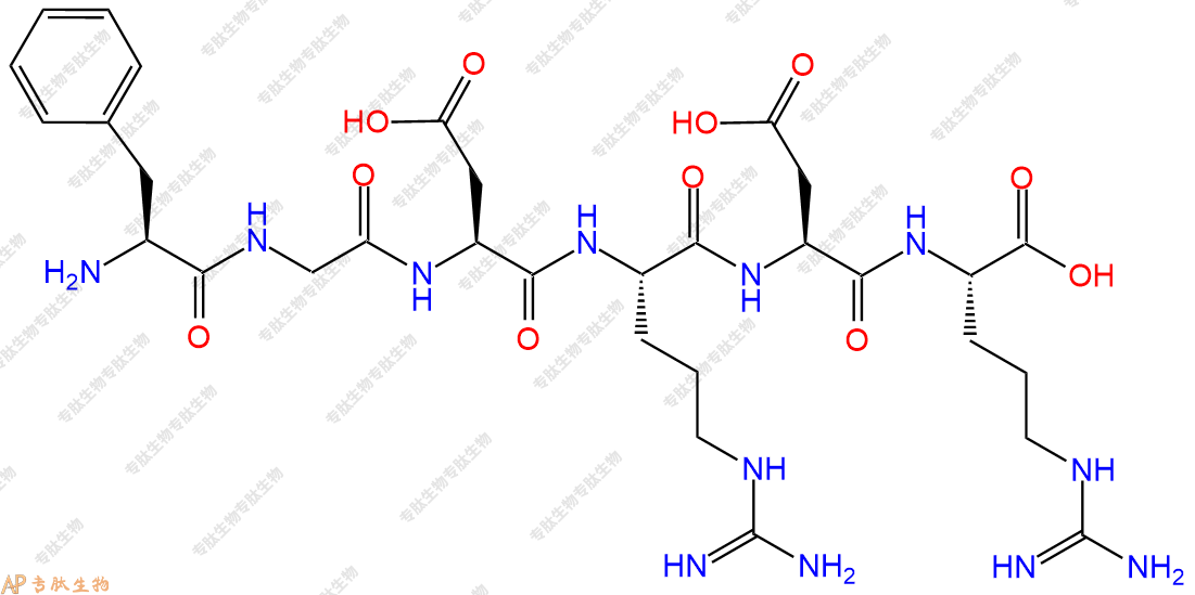 专肽生物产品H2N-Phe-Gly-Asp-Arg-Asp-Arg-OH