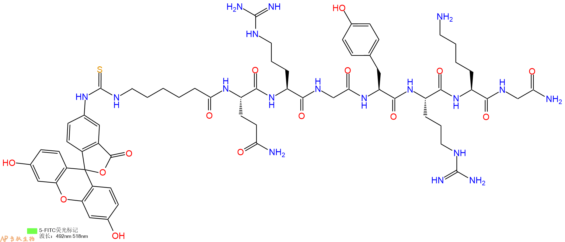 专肽生物产品5FITC-Ahx-Gln-Arg-Gly-Tyr-Arg-Lys-Gly-NH2