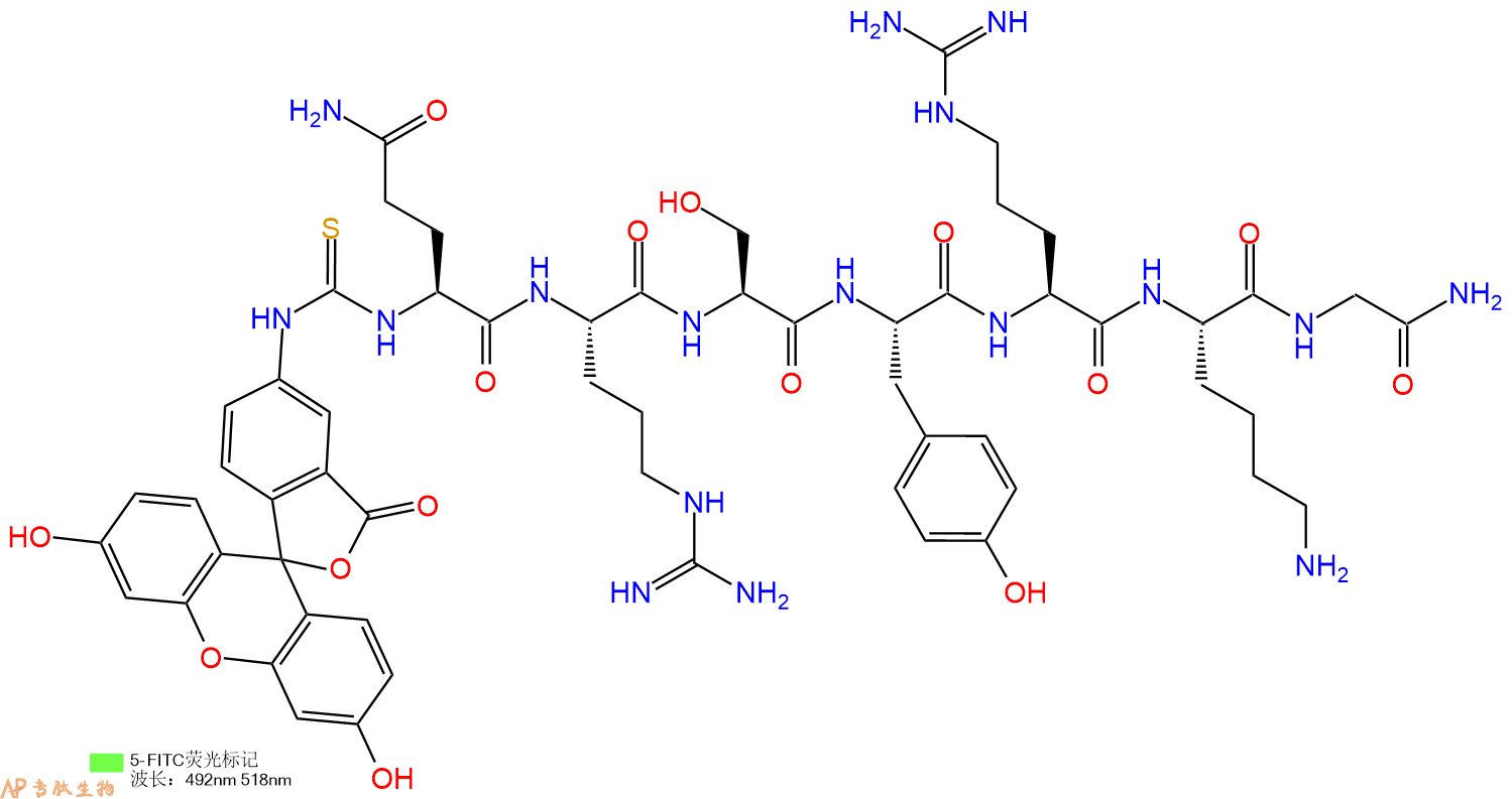 专肽生物产品5FITC-Gln-Arg-Ser-Tyr-Arg-Lys-Gly-NH2