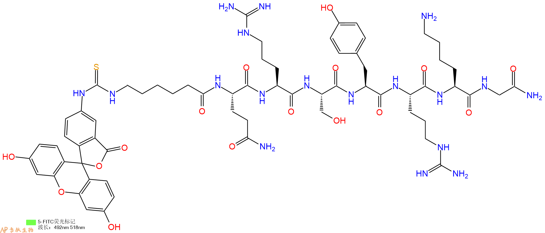 专肽生物产品5FITC-Ahx-Gln-Arg-Ser-Tyr-Arg-Lys-Gly-NH2