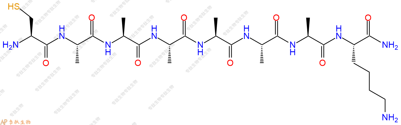 专肽生物产品H2N-Cys-Ala-Ala-Ala-Ala-Ala-Ala-Lys-NH2