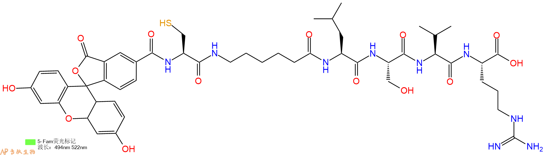 专肽生物产品5FAM-Cys-Ahx-Leu-Ser-Val-Arg-OH