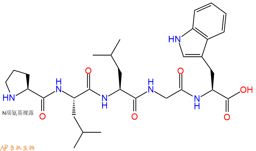 专肽生物产品H2N-Pro-Leu-Leu-Gly-Trp-OH