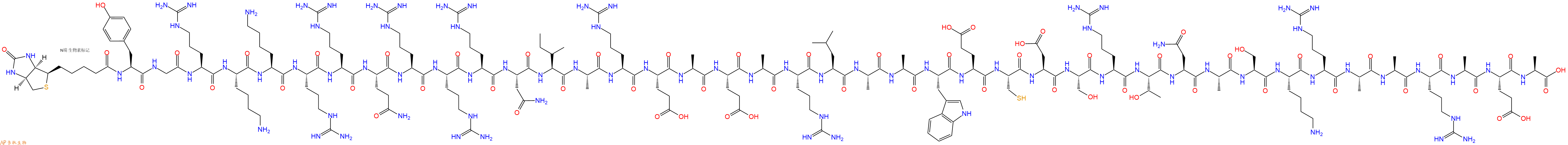 专肽生物产品Biotinyl-Tyr-Gly-Arg-Lys-Lys-Arg-Arg-Gln-Arg-Arg-Arg-Asn-Ile-Ala-Arg-Glu-Ala-Glu-Ala-Arg-Leu-Ala-Ala-Trp-Glu-Cys-Asp-Ser-Arg-Thr-Asn-Ala-Ser-Lys-Arg-Ala-Ala-Arg-Ala-Glu-Ala-OH