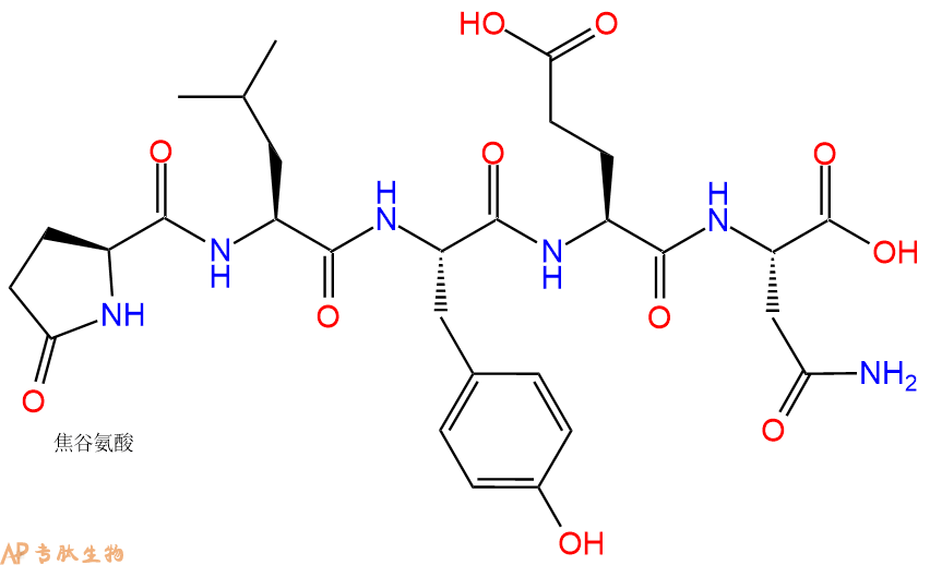 专肽生物产品Pyr-Leu-Tyr-Glu-Asn-OH