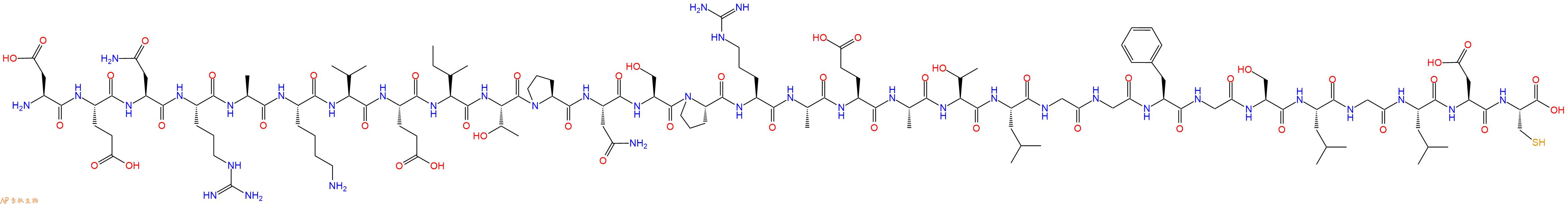 专肽生物产品H2N-Asp-Glu-Asn-Arg-Ala-Lys-Val-Glu-Ile-Thr-Pro-Asn-Ser-Pro-Arg-Ala-Glu-Ala-Thr-Leu-Gly-Gly-Phe-Gly-Ser-Leu-Gly-Leu-Asp-Cys-OH