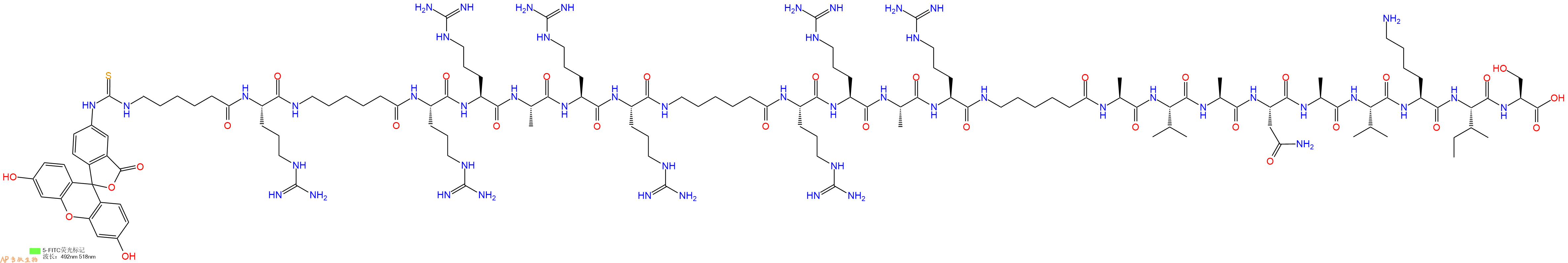 专肽生物产品5FITC-Ahx-Arg-Ahx-Arg-Arg-Ala-Arg-Arg-Ahx-Arg-Arg-Ala-Arg-Ahx-Ala-Val-Ala-Asn-Ala-Val-Lys-Ile-Ser-OH