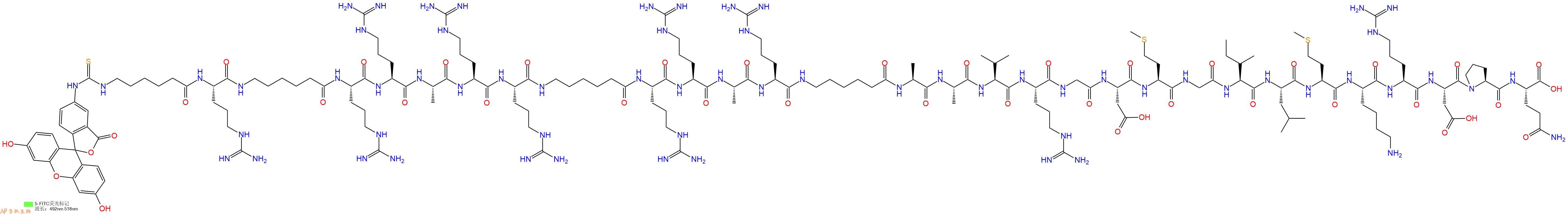 专肽生物产品5FITC-Ahx-Arg-Ahx-Arg-Arg-Ala-Arg-Arg-Ahx-Arg-Arg-Ala-Arg-Ahx-Ala-Ala-Val-Arg-Gly-Asp-Met-Gly-Ile-Leu-Met-Lys-Arg-Asp-Pro-Gln-OH
