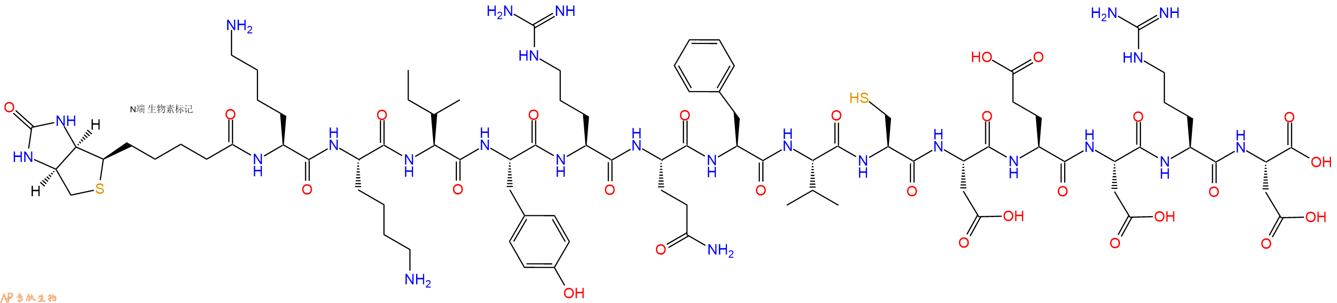 专肽生物产品Biotinyl-Lys-Lys-Ile-Tyr-Arg-Gln-Phe-Val-Cys-Asp-Glu-Asp-Arg-Asp-OH