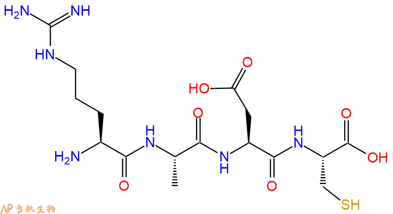 专肽生物产品H2N-Arg-Ala-Asp-Cys-OH