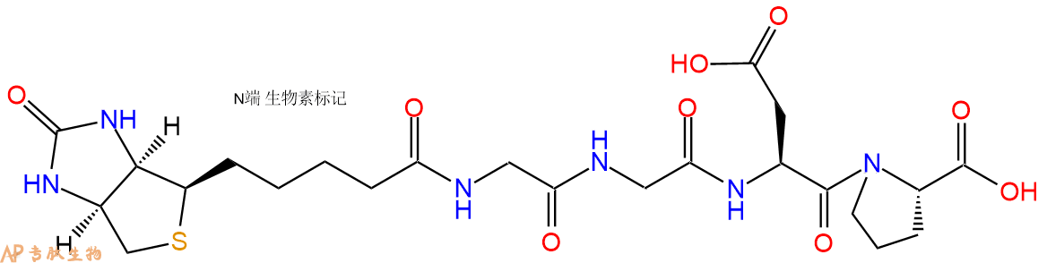 专肽生物产品Biotinyl-Gly-Gly-Asp-Pro-OH