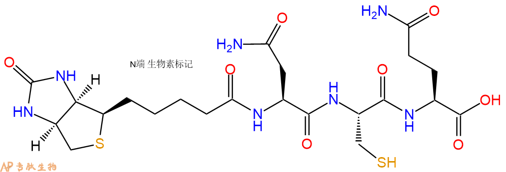专肽生物产品Biotinyl-Asn-Cys-Gln-OH