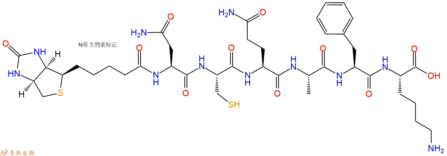 专肽生物产品Biotinyl-Asn-Cys-Gln-Ala-Phe-Lys-OH