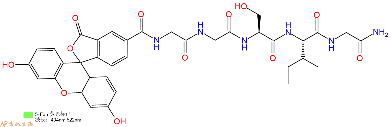 专肽生物产品5FAM-Gly-Gly-Ser-Ile-Gly-NH2