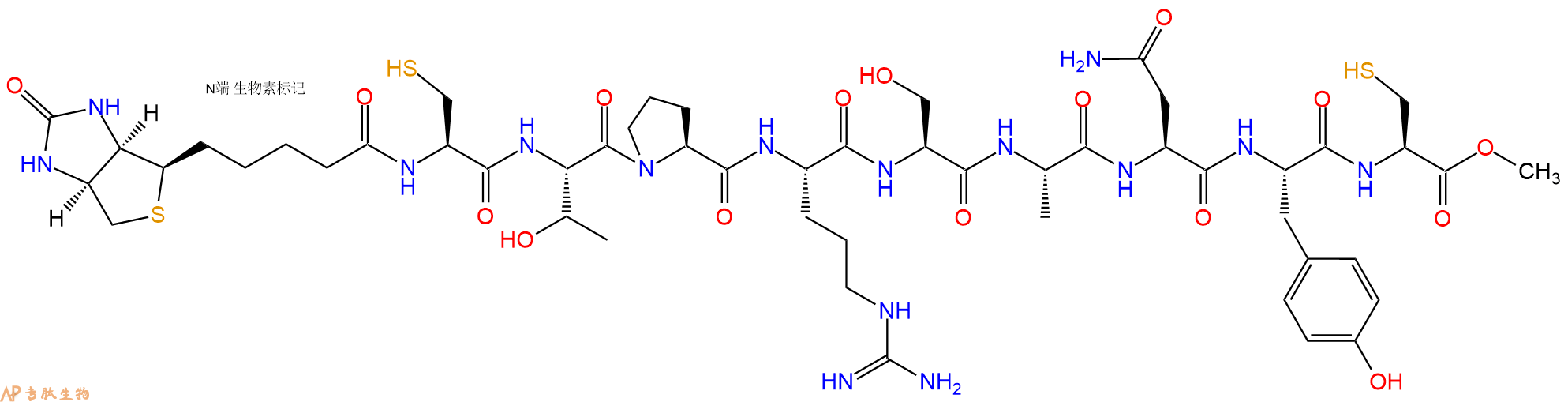 专肽生物产品Biotinyl-Cys-Thr-Pro-Arg-Ser-Ala-Asn-Tyr-Cys-OMe