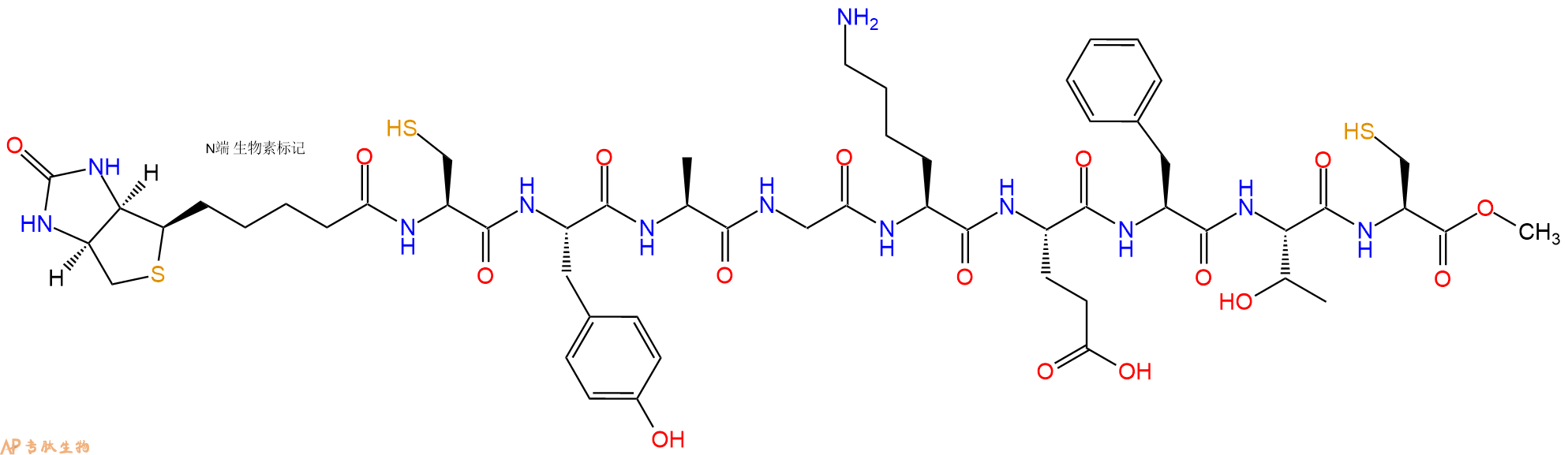 专肽生物产品Biotinyl-Cys-Tyr-Ala-Gly-Lys-Glu-Phe-Thr-Cys-OMe