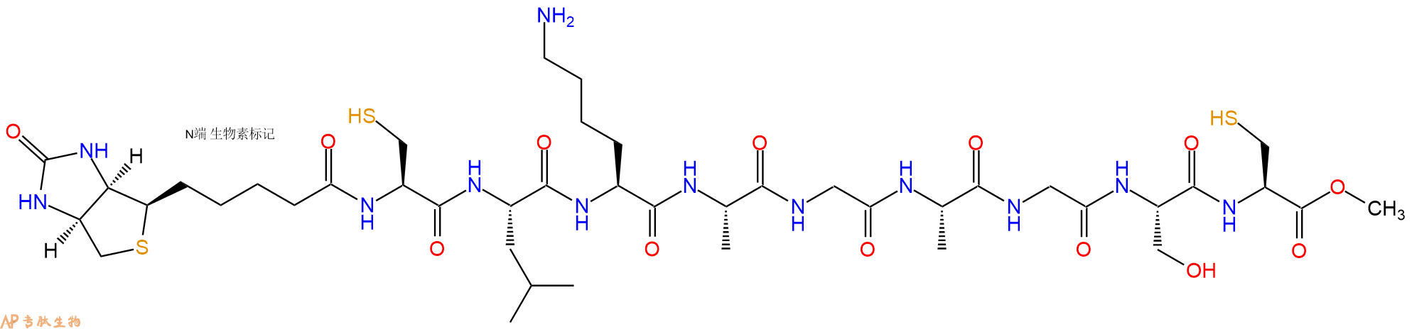 专肽生物产品Biotinyl-Cys-Leu-Lys-Ala-Gly-Ala-Gly-Ser-Cys-OMe