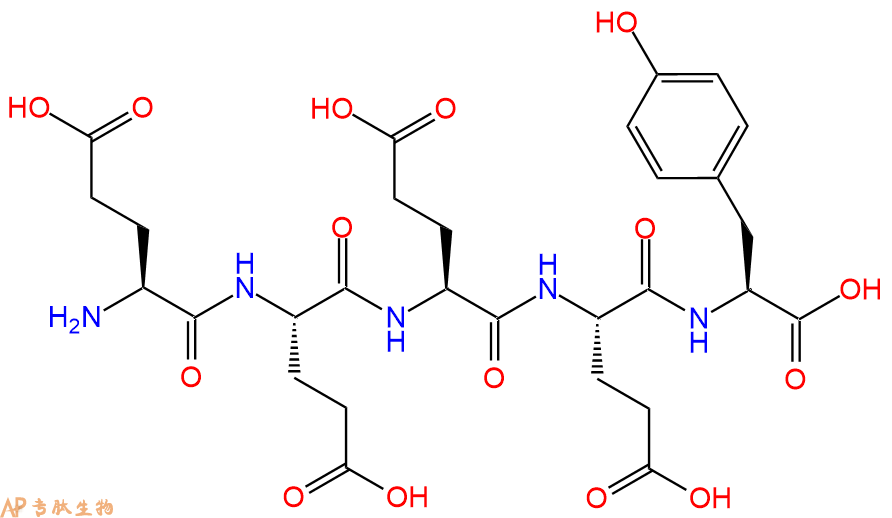 专肽生物产品H2N-Glu-Glu-Glu-Glu-Tyr-OH
