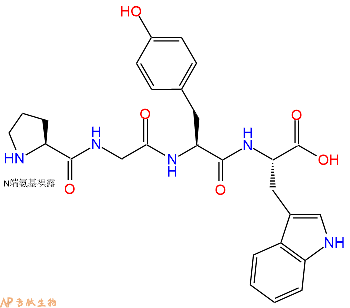 专肽生物产品H2N-Pro-Gly-Tyr-Trp-OH