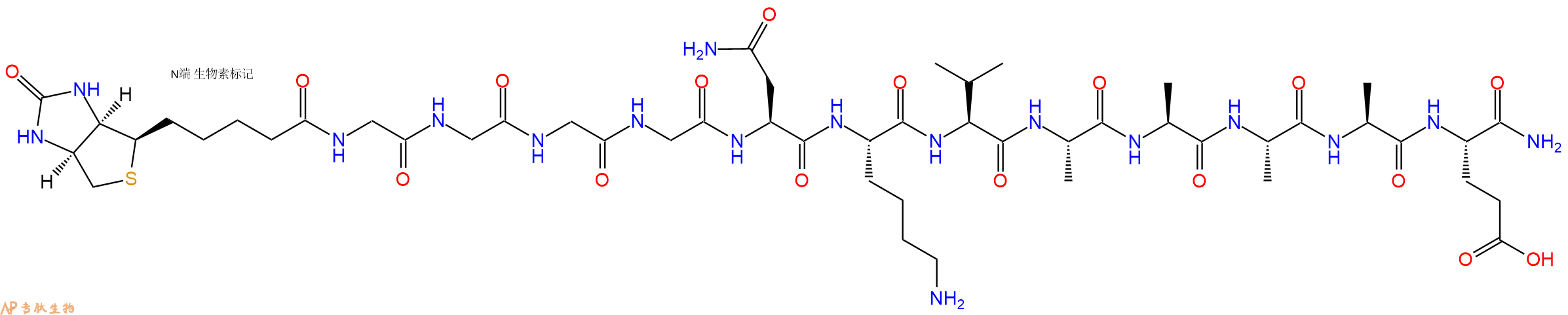 专肽生物产品Biotinyl-Gly-Gly-Gly-Gly-Asn-Lys-Val-Ala-Ala-Ala-Ala-Glu-NH2