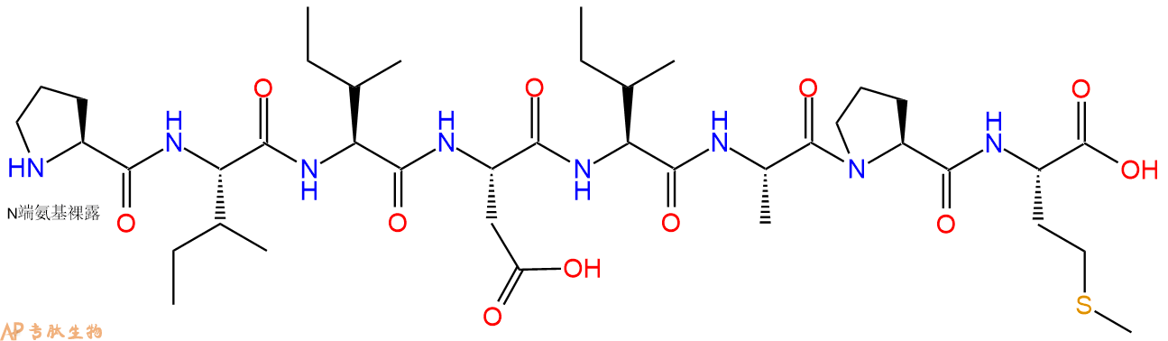 专肽生物产品H2N-Pro-Ile-Ile-Asp-Ile-Ala-Pro-Met-OH