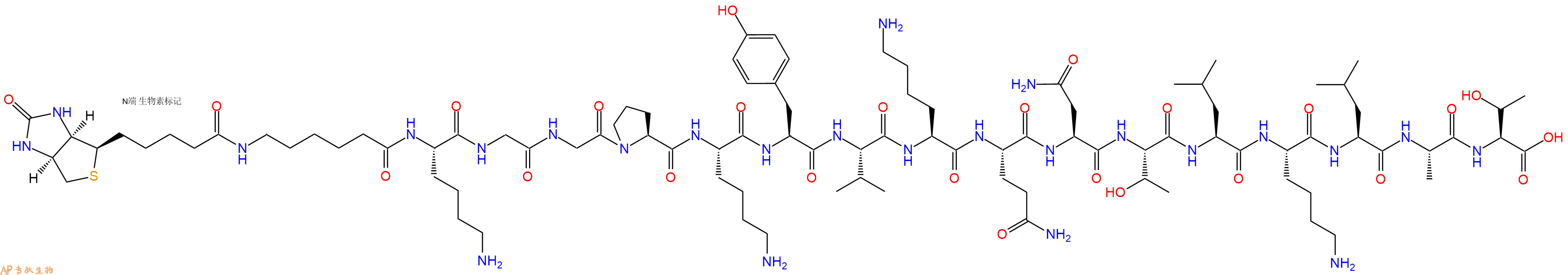 专肽生物产品Biotinyl-Ahx-Lys-Gly-Gly-Pro-Lys-Tyr-Val-Lys-Gln-Asn-Thr-Leu-Lys-Leu-Ala-Thr-OH