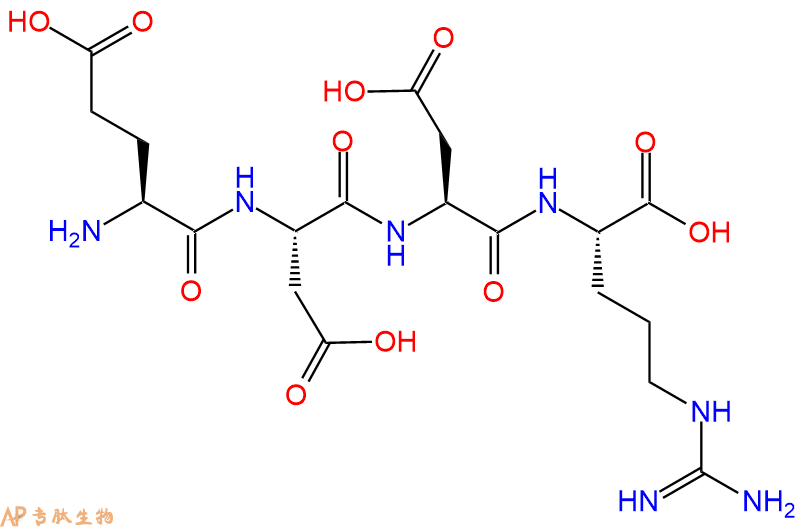 专肽生物产品H2N-Glu-Asp-Asp-Arg-OH