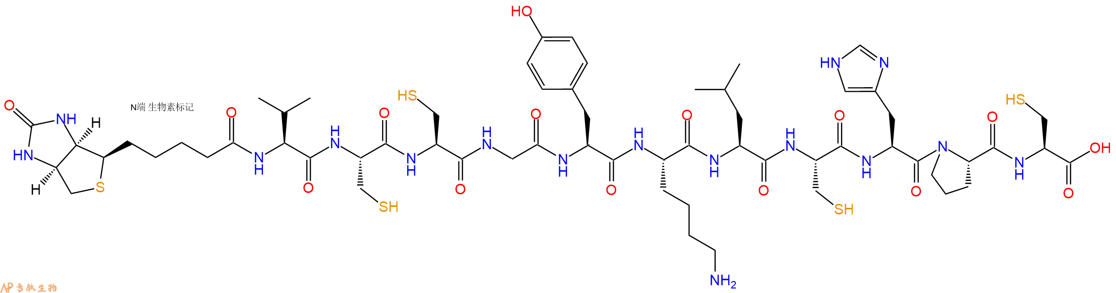 专肽生物产品Biotinyl-Val-Cys-Cys-Gly-Tyr-Lys-Leu-Cys-His-Pro-Cys-OH