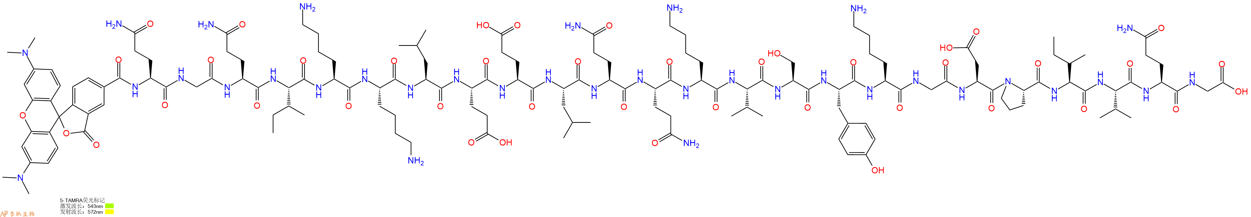 专肽生物产品5TAMRA-Gln-Gly-Gln-Ile-Lys-Lys-Leu-Glu-Glu-Leu-Gln-Gln-Lys-Val-Ser-Tyr-Lys-Gly-Asp-Pro-Ile-Val-Gln-Gly-OH
