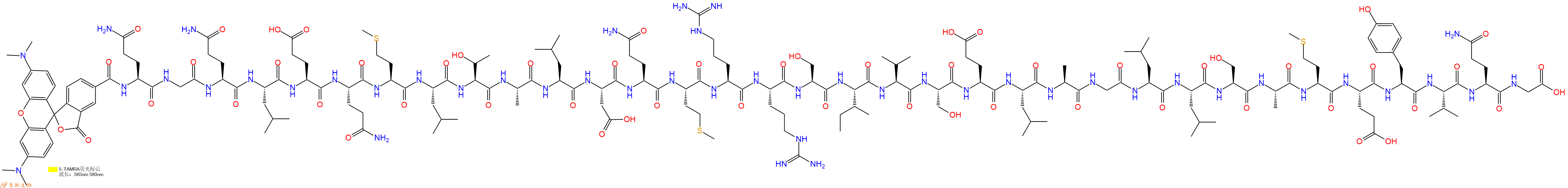 专肽生物产品5TAMRA-Gln-Gly-Gln-Leu-Glu-Gln-Met-Leu-Thr-Ala-Leu-Asp-Gln-Met-Arg-Arg-Ser-Ile-Val-Ser-Glu-Leu-Ala-Gly-Leu-Leu-Ser-Ala-Met-Glu-Tyr-Val-Gln-Gly-OH