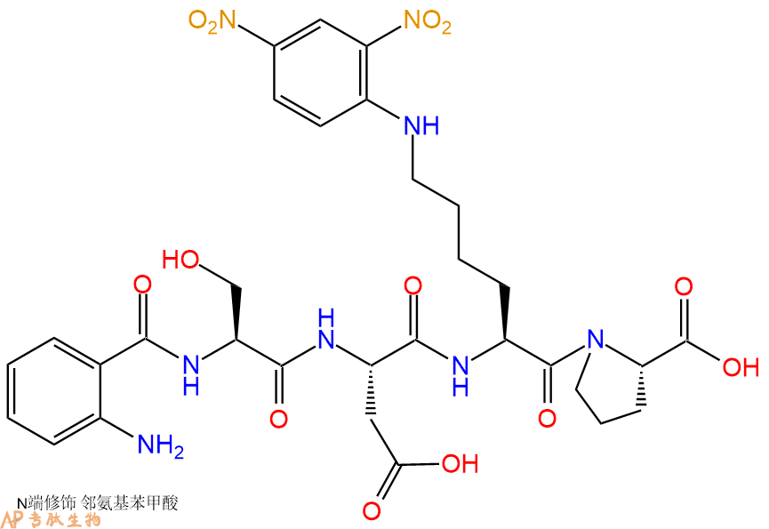 专肽生物产品Abz-Ser-Asp-Lys(Dnp)-Pro-OH