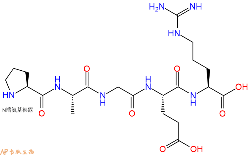 专肽生物产品H2N-Pro-Ala-Gly-Glu-Arg-OH