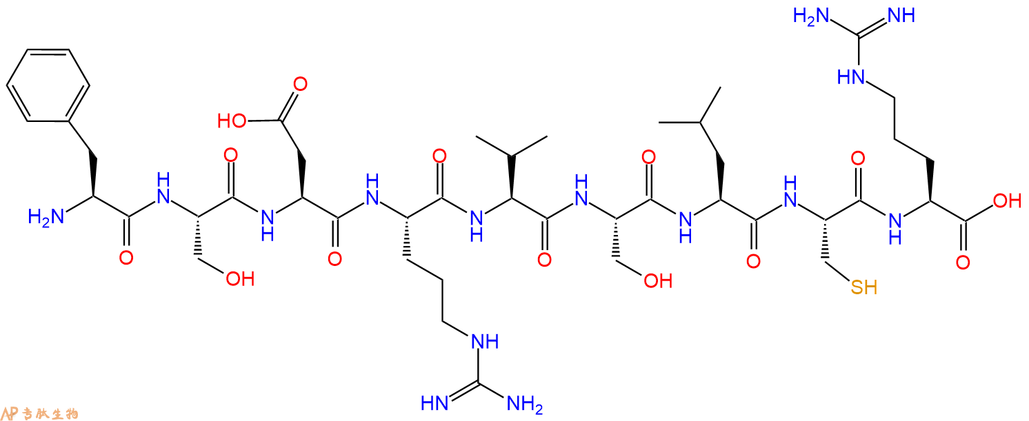 专肽生物产品H2N-Phe-Ser-Asp-Arg-Val-Ser-Leu-Cys-Arg-OH