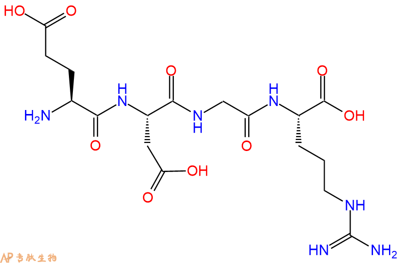 专肽生物产品H2N-Glu-Asp-Gly-Arg-OH